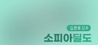 입문용 강력추천 소피아딜도
